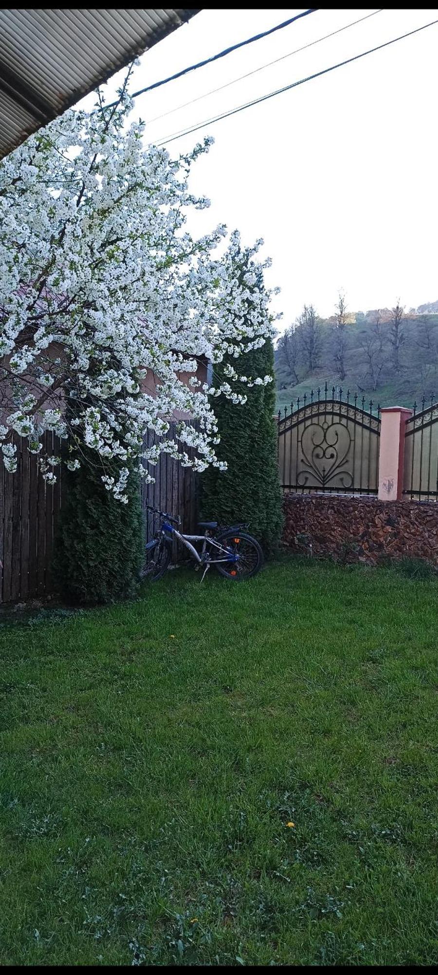 Popasul Drumetului Transfagarasan Hotel Curtea de Argeş Eksteriør billede